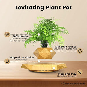Levitating - Bonsai Planter Pot