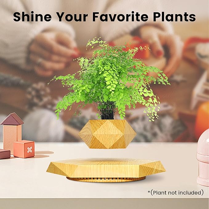 Levitating - Bonsai Planter Pot