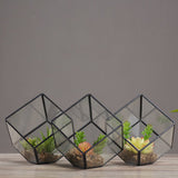 Oblique Square Small Glass Greenhouse Transparent Plant Flowerpot